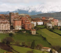 ZONA DE PRODUCCIÓN. TINEO